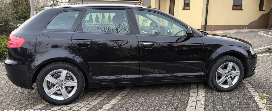 Audi A3 cena 25900 przebieg: 197258, rok produkcji 2009 z Kętrzyn małe 301